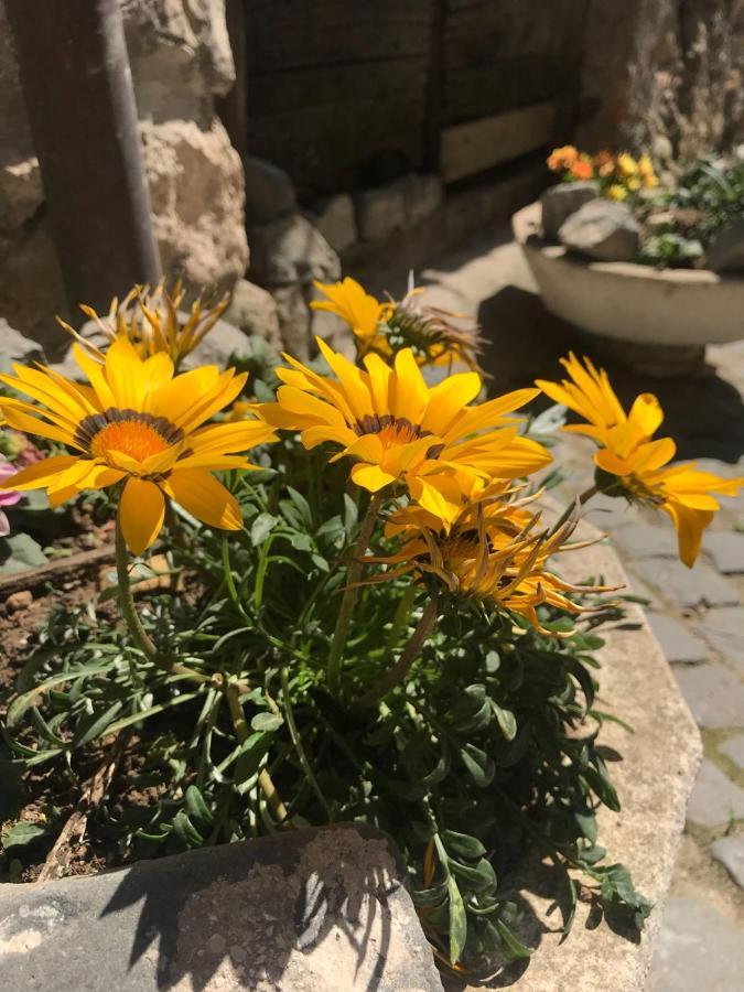 Centro Storico Bed and Breakfast Anagni Exterior foto