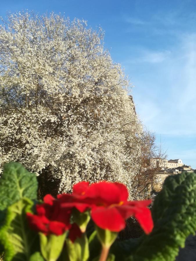 Centro Storico Bed and Breakfast Anagni Exterior foto